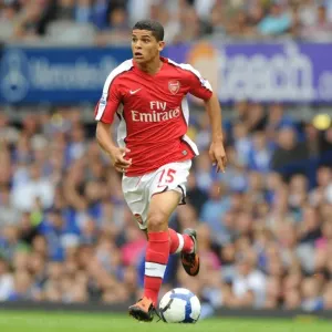 Denilson's Dominance: Arsenal's 1:6 Victory Over Everton, August 2009 Denilson's Dominance: Arsenal's 1:6 Victory Over Everton, August 2009