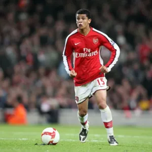 Denilson's Epic Duel: Arsenal vs. Tottenham Hotspur's Thrilling 4-4 Barclays Premier League Clash at Emirates Stadium (October 2008) Denilson's Epic Duel: Arsenal vs. Tottenham Hotspur's Thrilling 4-4 Barclays Premier League Clash at Emirates Stadium (October 2008)