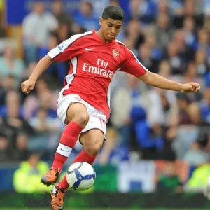 Denilson's Triumph: Arsenal's 1:6 Rout of Everton, August 2009 Denilson's Triumph: Arsenal's 1:6 Rout of Everton, August 2009
