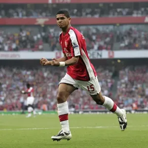 Denilson's Triumph: Arsenal's 3-0 Barclays Premier League Victory Over Newcastle United Denilson's Triumph: Arsenal's 3-0 Barclays Premier League Victory Over Newcastle United