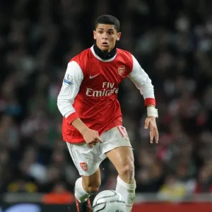 Denilson's Triumph: Arsenal's 3-0 Crushing Victory over Ipswich Town in Carling Cup Semi-Final Denilson's Triumph: Arsenal's 3-0 Crushing Victory over Ipswich Town in Carling Cup Semi-Final