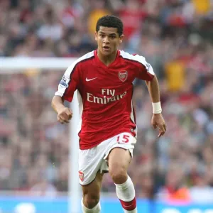 Denilson's Triumph: Arsenal's 3-1 Victory Over Everton in the Barclays Premier League at Emirates Stadium, London, October 18, 2008