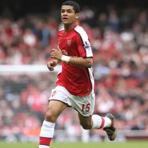 Denilson's Triumph: Arsenal's 3-1 Victory Over Everton in the Premier League (2008)