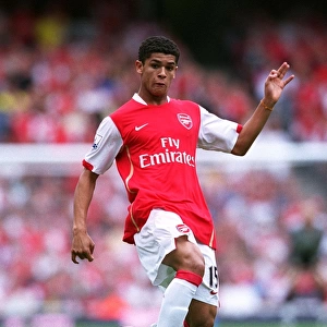 Denilson's Triumph: Arsenal's 3:1 Victory Over Portsmouth in the Barclays Premier League at Emirates Stadium (September 2, 2007)