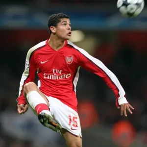 Denilson's Victory: Arsenal 1-0 Dynamo Kiev, UEFA Champions League, Group G, Emirates Stadium (November 25, 2008)