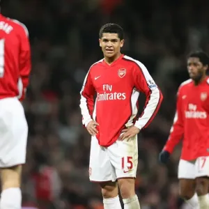 Denilson's Victory: Arsenal 1-0 Wigan, Barclays Premier League, Emirates Stadium, London, 6/12/2008 Denilson's Victory: Arsenal 1-0 Wigan, Barclays Premier League, Emirates Stadium, London, 6/12/2008