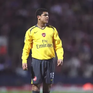 Denilson's Victory: Arsenal's 1-0 FA Cup Win Over Blackburn Rovers, 2007