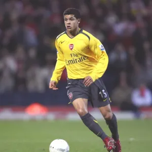Denilson's Victory: Arsenal's 1:0 FA Cup Win Over Blackburn Rovers, 2007
