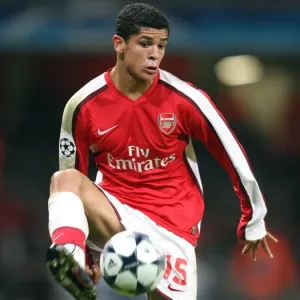 Denilson's Winning Goal: Arsenal 1-0 Dynamo Kiev, UEFA Champions League, Group G, Emirates Stadium (November 25, 2008)