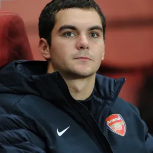 Disappointing Night: Arsenal's 0-2 Defeat to Schalke 04 in the UEFA Champions League (24/10/12) Disappointing Night: Arsenal's 0-2 Defeat to Schalke 04 in the UEFA Champions League (24/10/12)