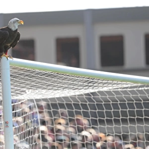 Eagle on the Arsenal Goal: Crystal Palace vs Arsenal, Premier League 2014-15