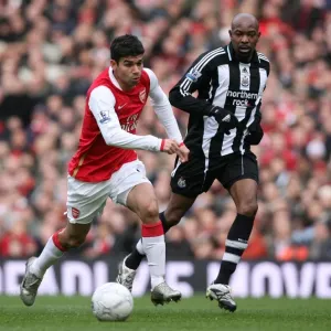 Eduardo von Arsenal, Claudio Cacapa vom Newcastle United