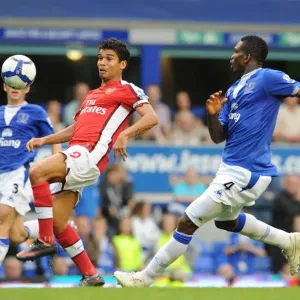 Eduardo (Arsenal) Joseph Yobo (Everton)