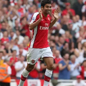 Eduardo celebrates Arsenals 3rd goal scored by Emmanuel Eboue
