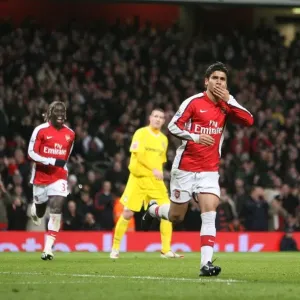 Eduardo celebrates scoring the 3rd Arsenal goal Eduardo celebrates scoring the 3rd Arsenal goal