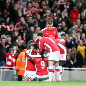 Eduardo celebrates scoring his and Arsenals 1st goal Eduardo celebrates scoring his and Arsenals 1st goal
