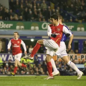 Eduardo scores his and Arsenals 1st goal past Joleon Lescott (Everton) Eduardo scores his and Arsenals 1st goal past Joleon Lescott (Everton)