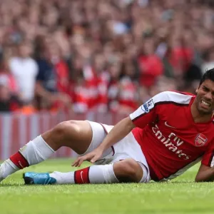 Eduardo's Hat-Trick: Arsenal's Triumphant 3-0 Victory Over Tottenham in the Premier League (October 31, 2009) Eduardo's Hat-Trick: Arsenal's Triumphant 3-0 Victory Over Tottenham in the Premier League (October 31, 2009)