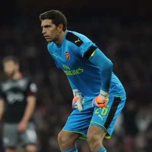Emiliano Martinez: Arsenal's EFL Cup Hero against Southampton (November 2016) Emiliano Martinez: Arsenal's EFL Cup Hero against Southampton (November 2016)