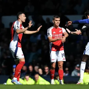 Everton FC v Arsenal FC - Premier League Everton FC v Arsenal FC - Premier League