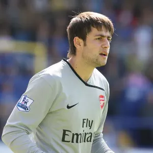 Fabianski's Dominance: Arsenal Crushes Portsmouth 4-0