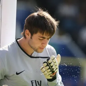 Fabianski's Dominance: Arsenal's 4-0 Win Over Portsmouth, 2009