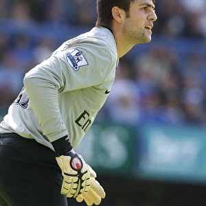 Fabianski's Masterclass: Arsenal's 4-0 Victory Over Portsmouth, 2009