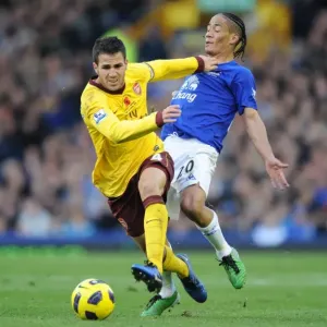 Fabregas and Pienaar Clash: Arsenal's Victory Over Everton in the Premier League, 2010