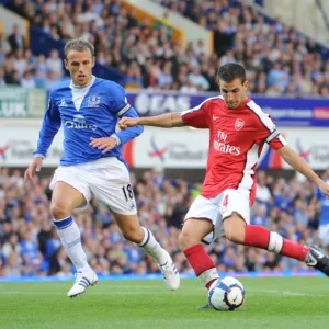 Fabregas Scores Stunner: Arsenal Crush Everton 6-1 (Cesc Fabregas vs Phil Neville) Fabregas Scores Stunner: Arsenal Crush Everton 6-1 (Cesc Fabregas vs Phil Neville)