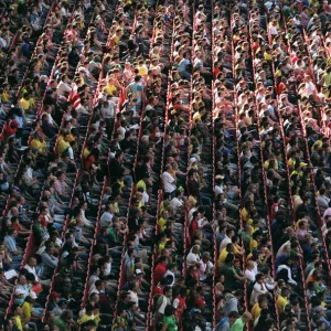 Fans in the lower terrace