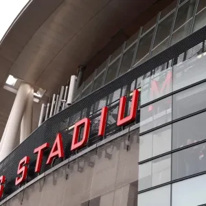 Fans in the stadium