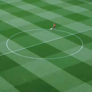 Emirates Stadium Pitch Print, July 2014 Emirates Stadium Pitch Print, July 2014