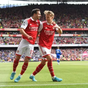 Five-Star Arsenal: Odegaard and Soares Epic Goal Celebrations vs. Everton (2021-22)