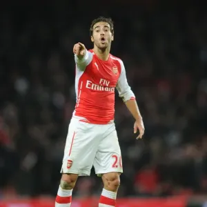 Flamini in Action: Arsenal vs Southampton, Premier League 2014-15