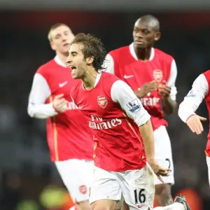 Flamini, Fabregas, Bendtner, Diaby: Arsenal's Unstoppable Trio Celebrates 3-0 Over Newcastle Flamini, Fabregas, Bendtner, Diaby: Arsenal's Unstoppable Trio Celebrates 3-0 Over Newcastle