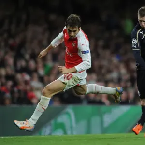 Flamini vs. Antolic: Intense Clash Between Arsenal's Mathieu Flamini and Dinamo Zagreb's Domagoj Antolic in the 2015-16 UEFA Champions League Flamini vs. Antolic: Intense Clash Between Arsenal's Mathieu Flamini and Dinamo Zagreb's Domagoj Antolic in the 2015-16 UEFA Champions League