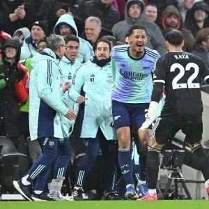 Fulham FC v Arsenal FC - Premier League