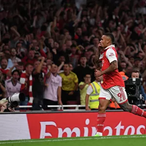 Gabriel Jesus Thriller: Arsenal's Winning Goal vs. Aston Villa in 2022-23 Premier League