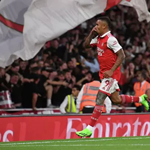 Gabriel Jesus's Thrilling Goal: Arsenal FC vs. Aston Villa, Premier League 2022-23