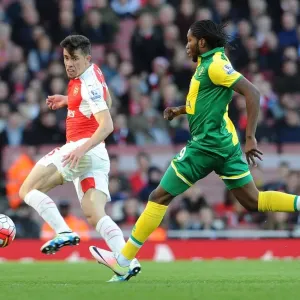 Gabriel Stands Firm: Arsenal's Defender Fends Off Norwich's Mbokani Gabriel Stands Firm: Arsenal's Defender Fends Off Norwich's Mbokani