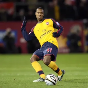 Gavin Hoyte (Arsenal) Gavin Hoyte (Arsenal)