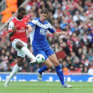 Johan Djourou (Arsenal) Nikola Zigic (Birmingham). Arsenal 2: 1 Birmingham City