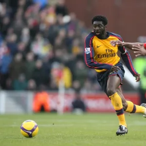 Kolo Toure (Arsenal) Ricardo Fuller (Stoke)