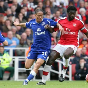 Kolo Toure (Arsenal) Steven Pienaar (Everton)