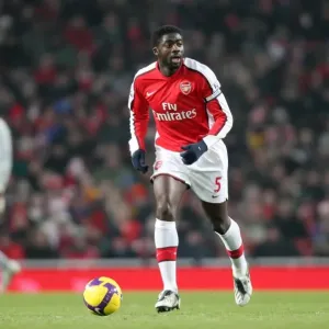 Kolo Toure's Victory Print: Arsenal 1-0 Bolton Wanderers Kolo Toure's Victory Print: Arsenal 1-0 Bolton Wanderers