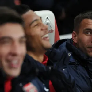 Lukas Podolski: Arsenal Football Club - Arsenal vs Swansea City, Premier League 2013-14