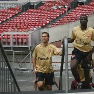 Manu Eboue and Mathieu Flamini Print, Arsenal vs Lazio