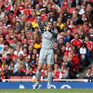 Manuel Almunia (Arsenal). Arsenal 2: 3 West Bromwich Albion, Barclays Premier League