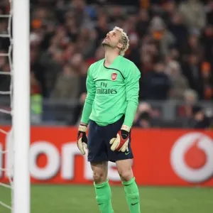 Manuel Almunia (Arsenal) during he penalty shoot-out