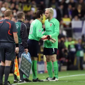 Manuel Almunia is replaced by Lukasz Fabianski (Arsenal)